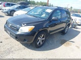 Toyota Rav4 JTMBD33V585188485 снимка
