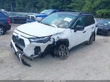 Toyota Rav4 Hybrid Woodland Edition 2T3UWRFV3RW220488 fotografie