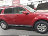 Ford Escape Limited 1FMCU0E77BKB48415 снимка