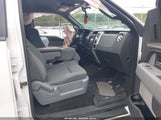 Ford F-150 Xlt 1FTFW1CFXDFC72881 снимка