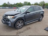 Toyota Rav4 Le JTMZFREV5HD098252 снимка