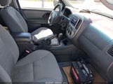 Ford Escape Xlt/Xlt Sport 1FMYU93147KA76492 fotografie