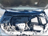 Toyota Corolla Xrs 1NXBE40E89Z004568 снимка