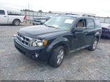 Ford Escape Xlt 1FMCU0D76BKB95212 снимка