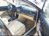 Toyota Camry Xle 4T4BF1FK9DR281950 снимка