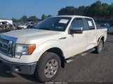 Ford F-150 Fx4/King Ranch/Lariat/Platinum/Xl/Xlt 1FTPW14V79KC15577 photo