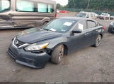 Nissan Altima 2.5/2.5 S/2.5 Sl/2.5 Sr/2.5 Sv 1N4AL3AP4HC115547 photo