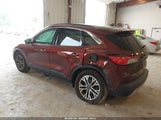 Ford Escape Sel 1FMCU9H61MUB23895 снимка