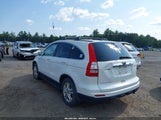 Honda Cr-V Ex-L 5J6RE4H7XAL055518 photo