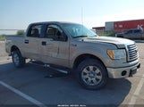 Ford F-150 Fx4/Harley-Davidson/King Ranch/Lariat/Platinum/Xl/Xlt 1FTFW1EV6AKE54536 снимка