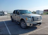 Ford F-150 Fx4/Harley-Davidson/King Ranch/Lariat/Platinum/Xl/Xlt 1FTFW1EV6AKE54536 fotografie