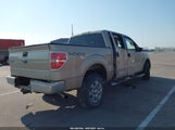 Ford F-150 Fx4/Harley-Davidson/King Ranch/Lariat/Platinum/Xl/Xlt 1FTFW1EV6AKE54536 снимка