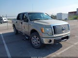 Ford F-150 Fx4/Harley-Davidson/King Ranch/Lariat/Platinum/Xl/Xlt 1FTFW1EV6AKE54536 fotografie