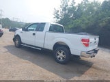 Ford F-150 Fx4/Lariat/Xl/Xlt 1FTFX1EV0AFB58983 photo