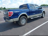 Ford F-150 Fx4/King Ranch/Lariat/Platinum/Xl/Xlt 1FTPW14V29FB20756 photo