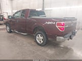 Ford F-150 Stx/Xl/Xlt 1FTEX1E81AKE16473 photo