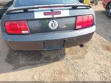 Ford Mustang V6 Deluxe/V6 Premium 1ZVFT80N675239302 fotografie