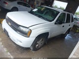 Chevrolet Trailblazer Ls 1GNDT13S262252400 снимка