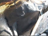 Chevrolet Silverado  1Lt 3GCPCREC2JG643895 снимка