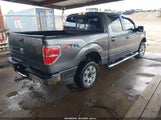 Ford F-150 Xlt 1FTFW1EF9BFC78505 снимка