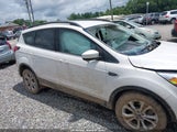 Ford Escape Sel 1FMCU0HD5KUA74370 снимка