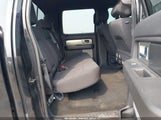 Ford F-150 Fx4 1FTFW1ET5DFD05644 снимка