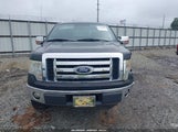 Ford F-150 Fx2 Sport/Stx/Xl/Xlt 1FTEX1C84AFA29699 fotografie