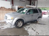 Ford Escape Hybrid 1FMCU5K33AKA32609 снимка