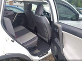 Toyota Rav4 Xle 2T3WFREV0FW168968 photo