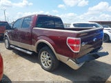Ford F-150 King Ranch/Lariat/Platinum/Xl/Xlt 1FTPW12VX9KB84845 fotografie