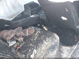 Honda Civic Sport 2HGFE2F59SH579726 photo