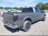 Ford F-150 Fx4/Harley-Davidson/King Ranch/Lariat/Platinum/Xl/Xlt 1FTFW1EV1AFA34529 снимка