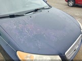 Hyundai Elantra Gls KMHDU46D19U636788 снимка