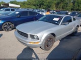 Ford Mustang V6 Deluxe/V6 Premium 1ZVFT80N655199168 photo
