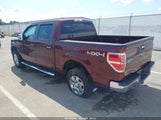 Ford F-150 Fx4/Harley-Davidson/King Ranch/Lariat/Platinum/Xl/Xlt 1FTFW1EV7AFD64966 снимка
