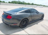 Ford Mustang Gt 1FA6P8CF8K5203394 снимка