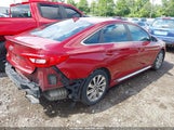 Hyundai Sonata Sport 5NPE34AF0GH416358 fotografie