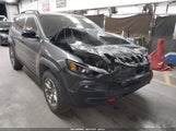 Jeep Cherokee Trailhawk 4X4 1C4PJMBX2ND500576 снимка