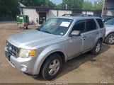 Ford Escape Xlt 1FMCU0DG8BKA04731 fotografie