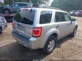 Ford Escape Xlt 1FMCU0DG8BKA04731 снимка