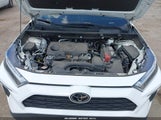 Toyota Rav4 Xle 2T3P1RFV0PC355406 снимка