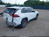 Toyota Rav4 Xle 2T3P1RFV0PC355406 снимка