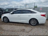 Hyundai Sonata Sport/Limited 5NPE34AF8HH500395 photo