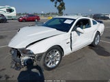Ford Mustang Gt/Gt Premium 1ZVBP8CH5A5160588 fotografie