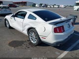 Ford Mustang Gt/Gt Premium 1ZVBP8CH5A5160588 fotografie