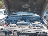 Ford F-150 Fx4/King Ranch/Lariat/Platinum/Xl/Xlt 1FTPW14V89FB45788 photo
