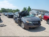 Honda Odyssey Ex-L 5FNRL5H69FB124850 снимка