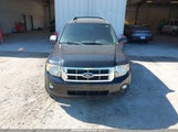 Ford Escape Xlt 1FMCU03G79KD15367 снимка