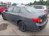 Toyota Corolla Le 2T1BU4EE1AC519929 снимка