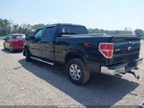 Ford F-150 Fx4/Harley-Davidson/King Ranch/Lariat/Platinum/Xl/Xlt 1FTFW1EVXAFC38620 fotografie